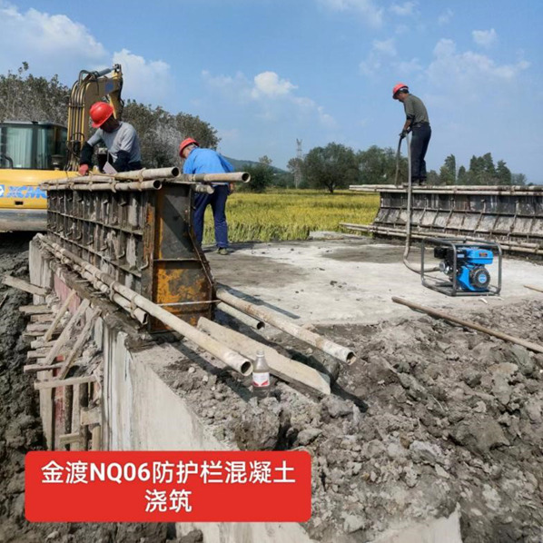 2023年枞阳县高标准农田建设项目（三标段）